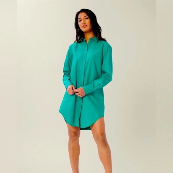 Lita By Ciara Cotton Shirt Dress Long Sleeves Green size XXL $248 - Picture 1 of 13